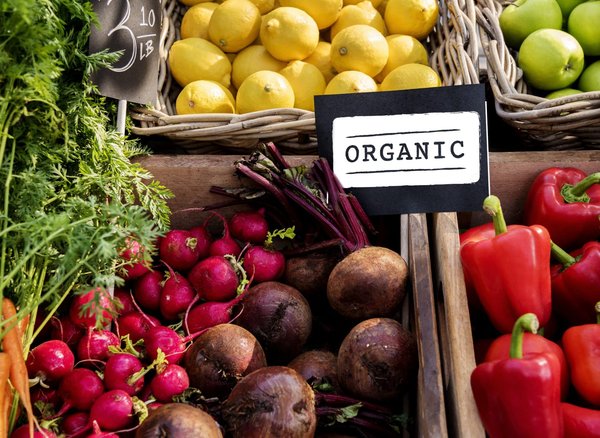 À la découverte des aliments biologiques