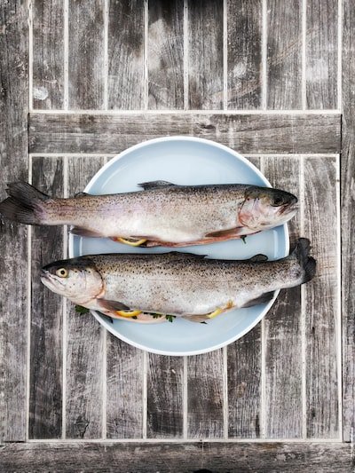 L’essentiel à savoir sur les poissons gras et les poissons maigres